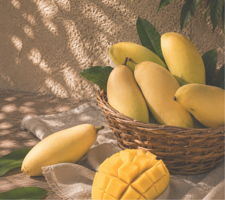 Katimon Mangoes